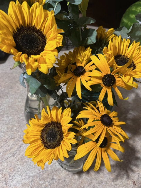 Getting Back to the&nbsp;Basics